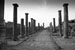 Bosra, Syria